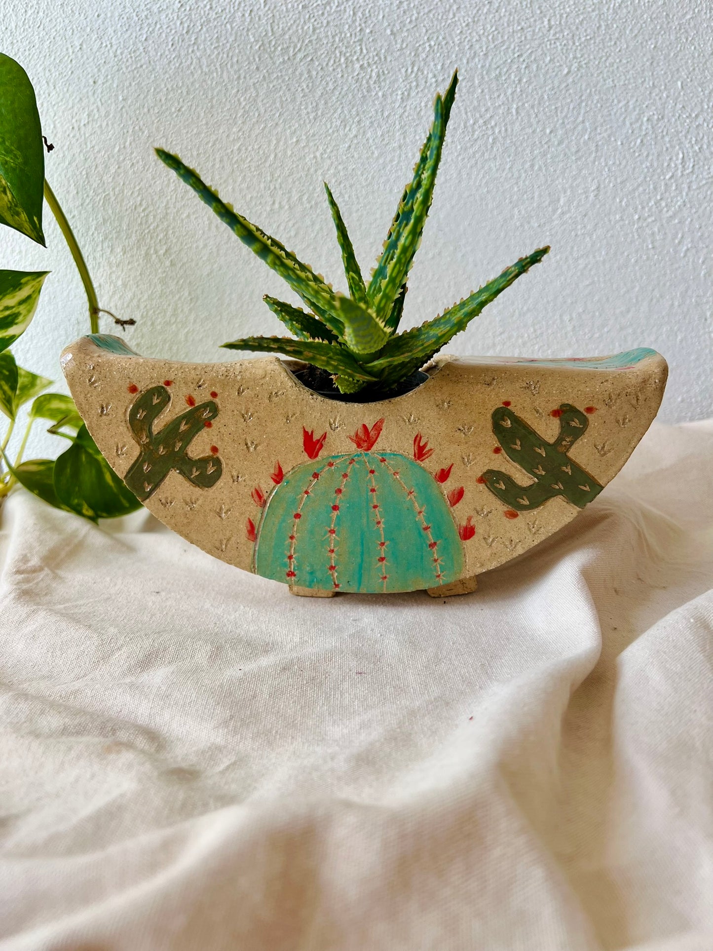 Ola - Large Cactus Planter