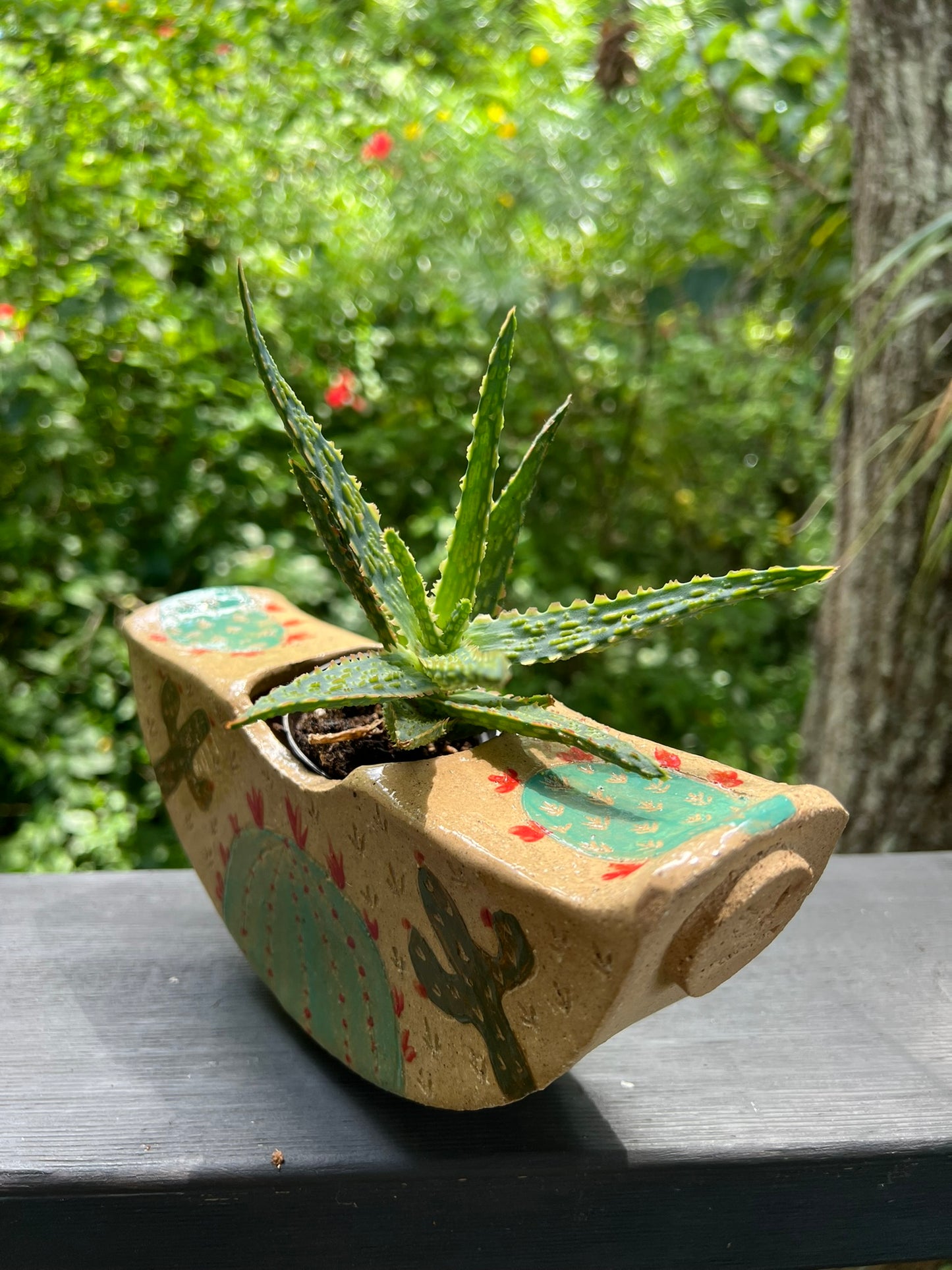 Ola - Large Cactus Planter